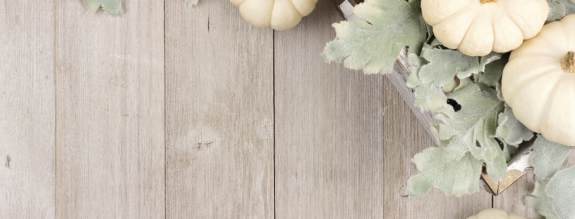 Happy Fall Fashion Y’all!