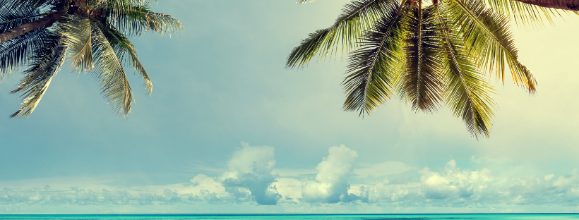 Trending on 30A and Beyond